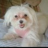 Lilly